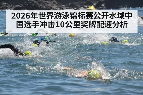 2026年世界游泳锦标赛公开水域中国选手冲击10公里奖牌配速分析